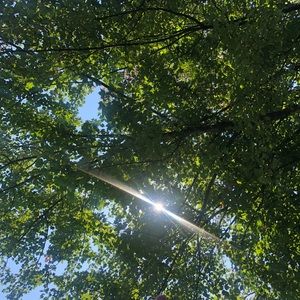 Meet your Posher, Myung jun